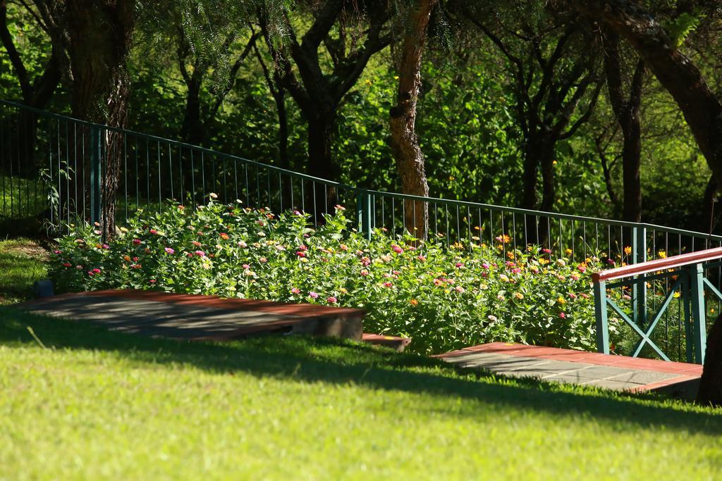 Hotel Los Parrales Tarija Exteriér fotografie